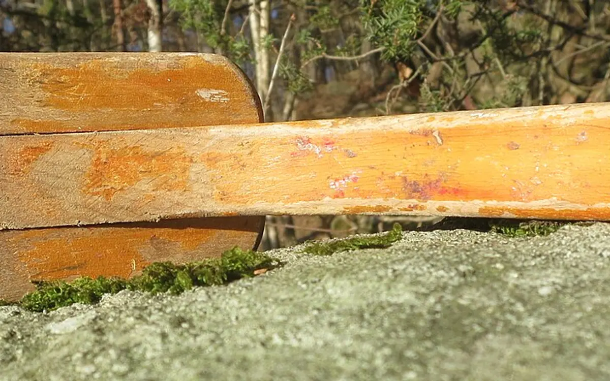 Removing a paint scuff from a car bumper with a polishing pad
